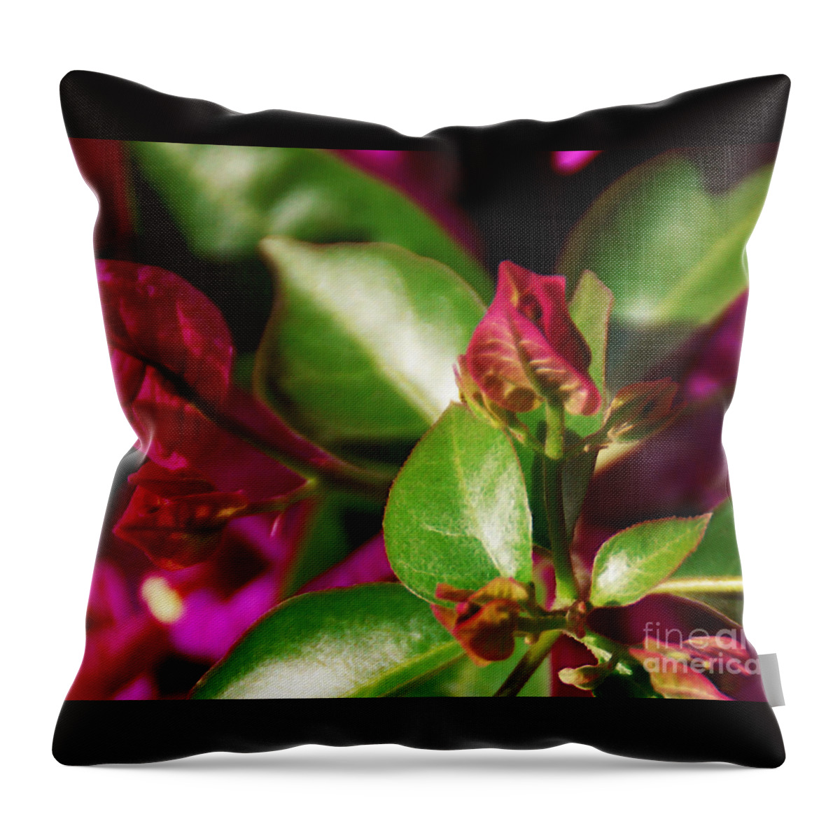 Bougainvillea Throw Pillow featuring the photograph Bougainvillea by Linda Shafer