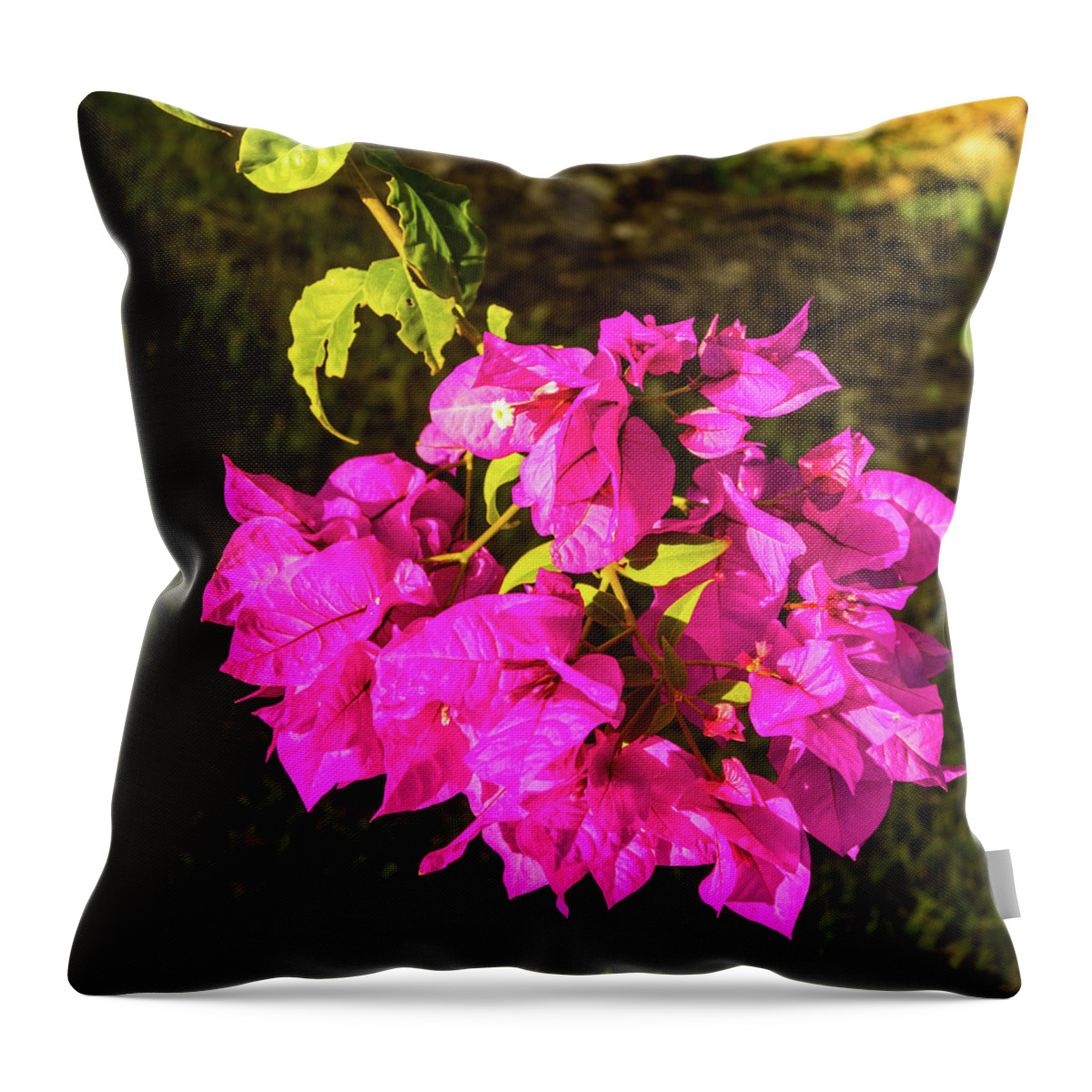 Bougainvillea Throw Pillow featuring the photograph Bougavillea Flower by James Gay