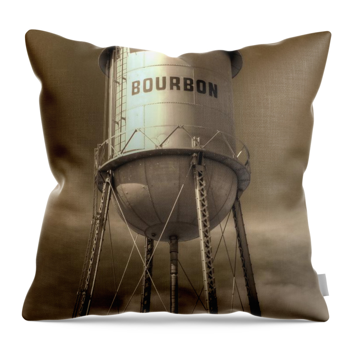 Bourbon Throw Pillow featuring the photograph Bourbon by Jane Linders