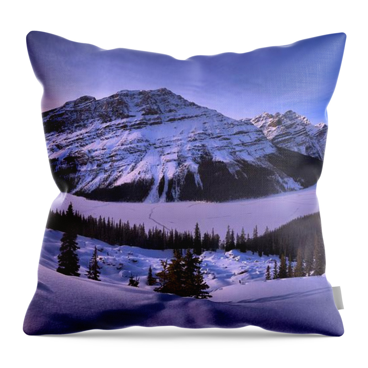 Peyto Lake Throw Pillow featuring the photograph Bow Summit Overlook by Adam Jewell
