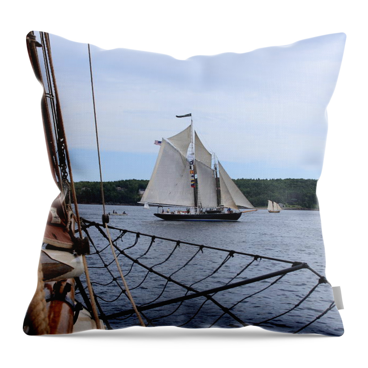 Seascape Throw Pillow featuring the photograph Bowditch by Doug Mills