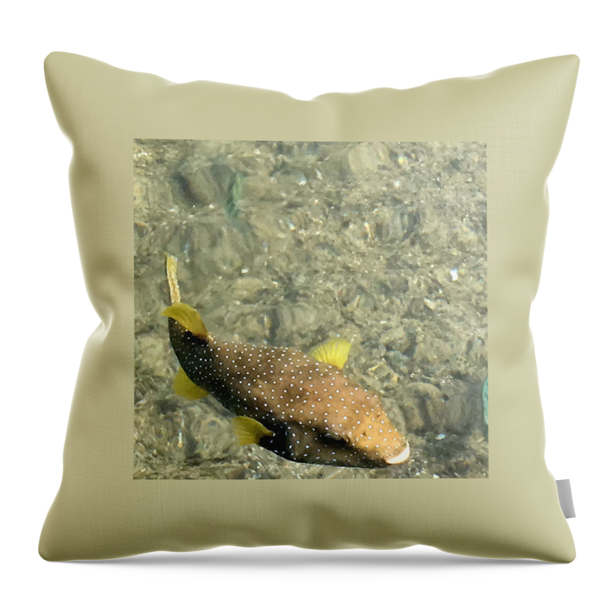 Fish Throw Pillow featuring the photograph Box Fish - 3 by Karen Nicholson