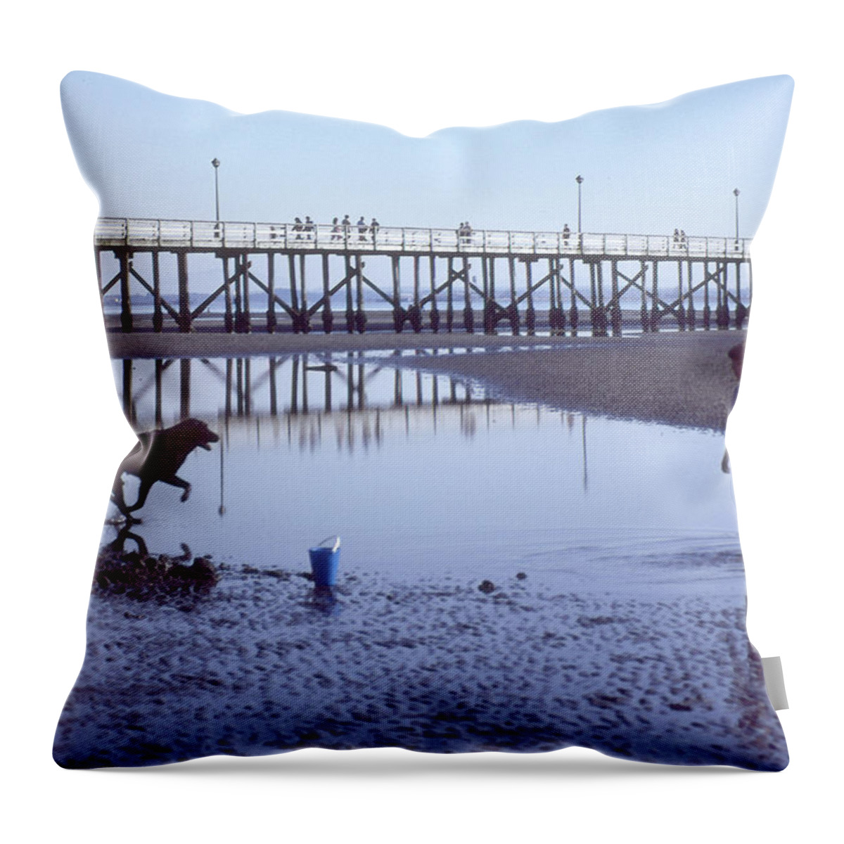 Abstract Throw Pillow featuring the digital art Boy And Dog On The Beach by Lyle Crump