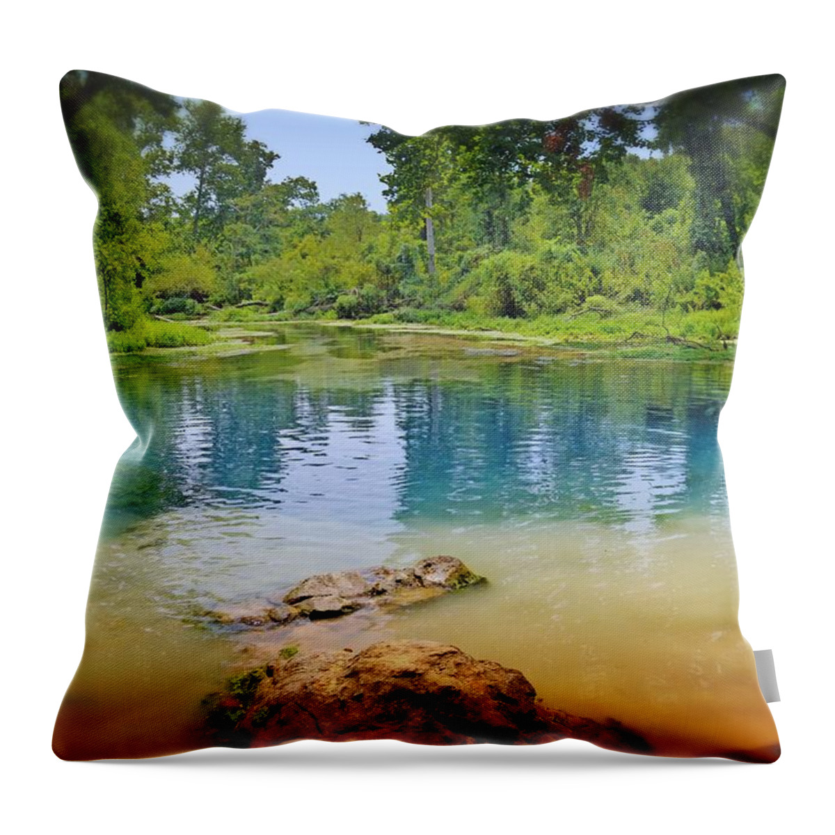 Boze Mill Spring Throw Pillow featuring the photograph Boze Mill Spring by Marty Koch