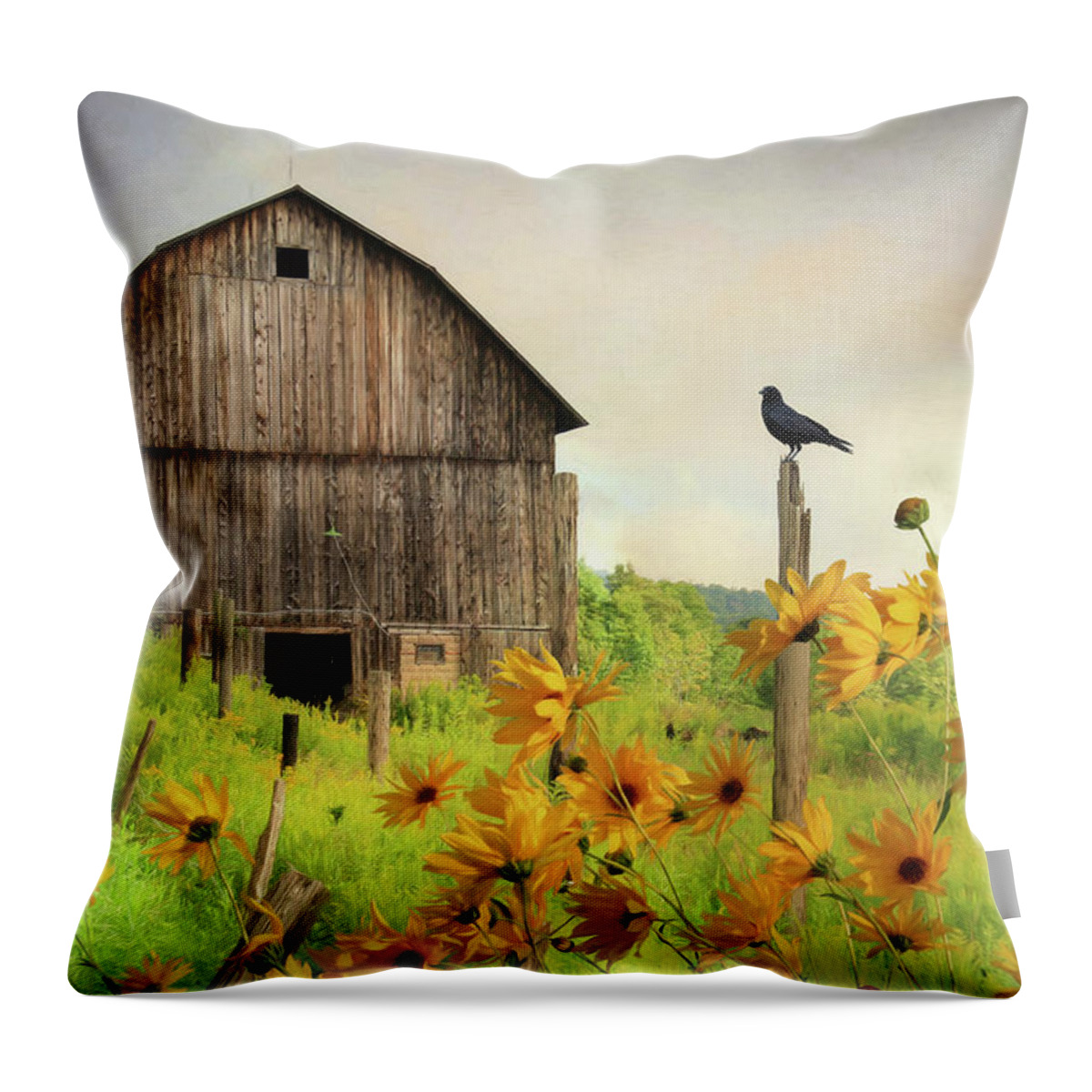 Barn Throw Pillow featuring the photograph Bradford County Wildflowers by Lori Deiter