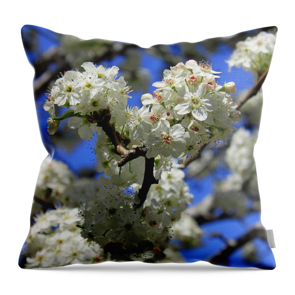 Bradford Pear Throw Pillow featuring the photograph Bradford Pear Blossoms by Suzanne Gaff