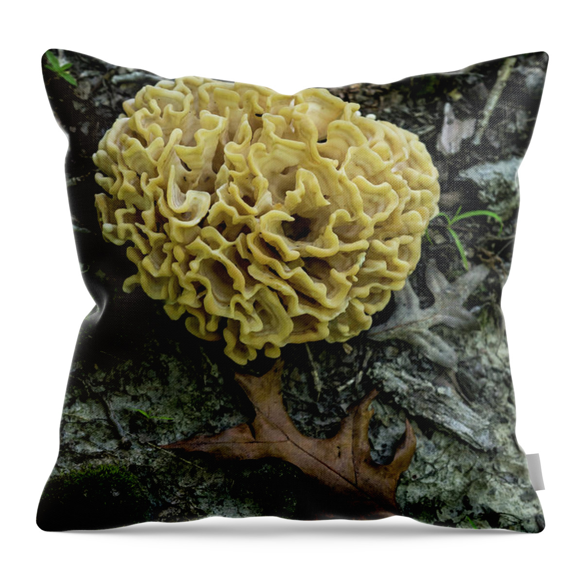 Brain Throw Pillow featuring the photograph Brain or Cauliflower Fungus by Douglas Barnett