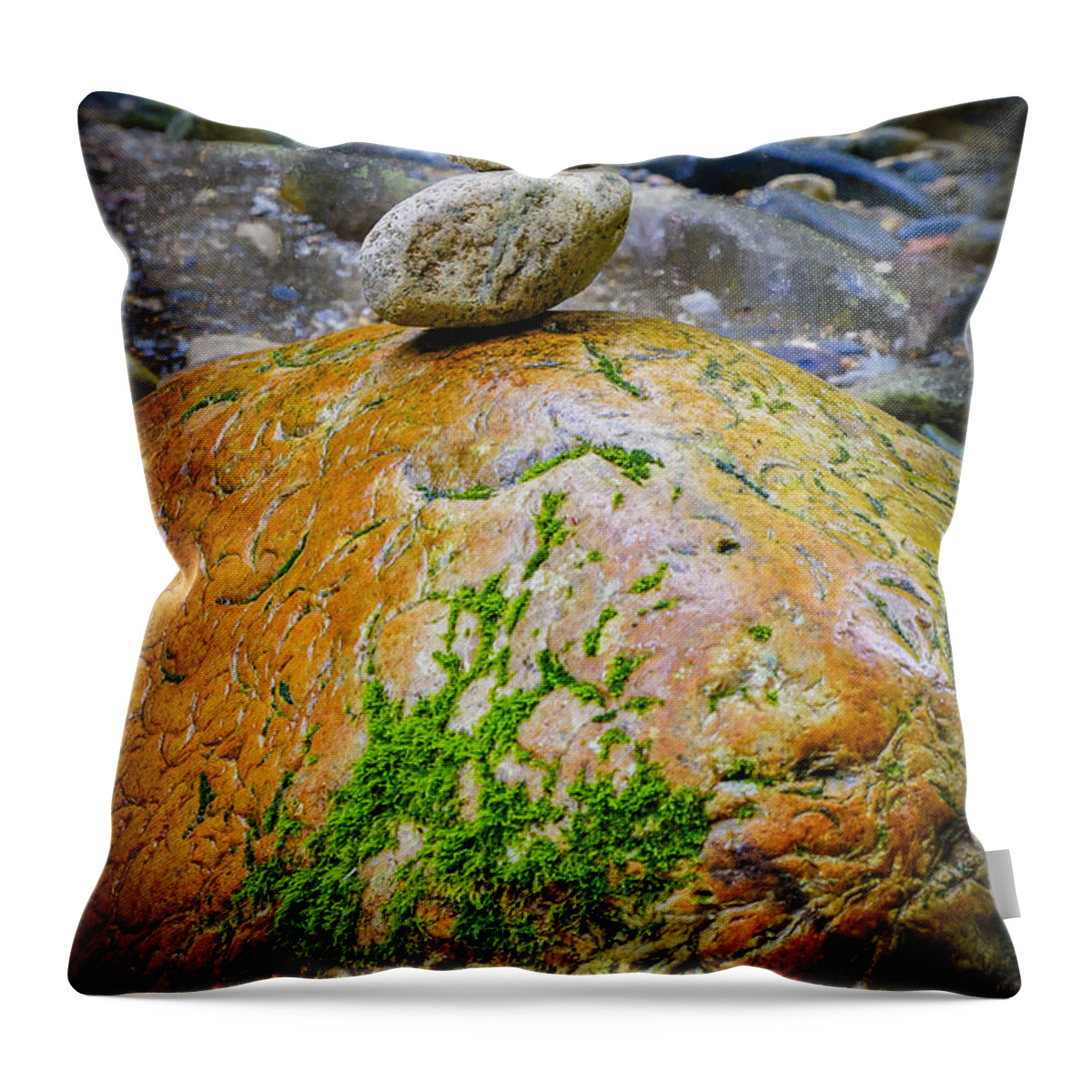 Rock Throw Pillow featuring the photograph Brain Rock by Vance Bell