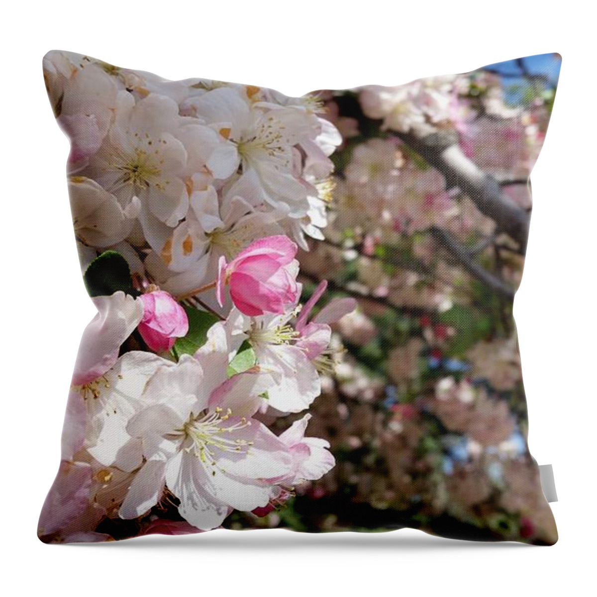 Apple Throw Pillow featuring the photograph Branched Apple by Caryl J Bohn