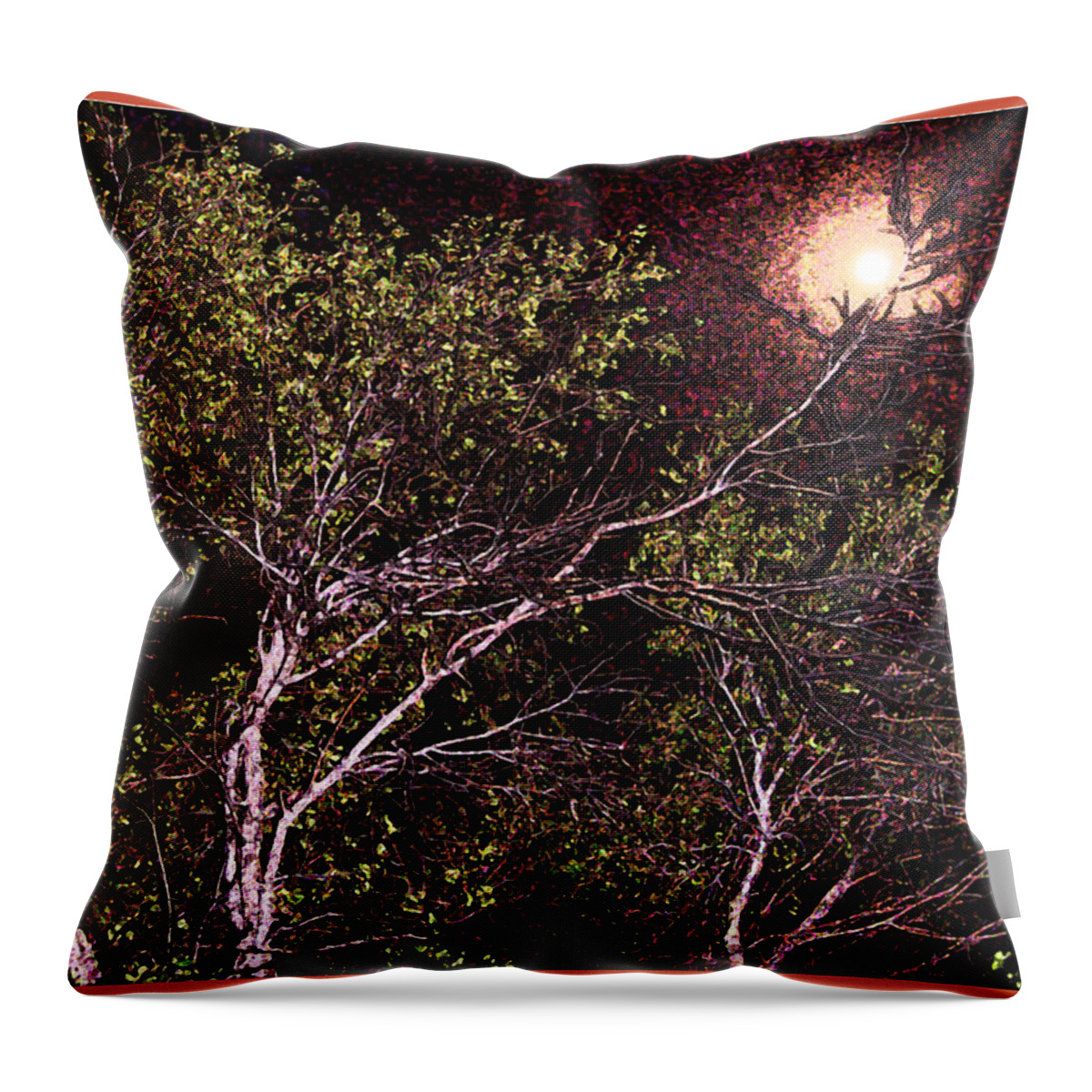 Moon Throw Pillow featuring the photograph Branches in Articulating Moonlight by Feather Redfox