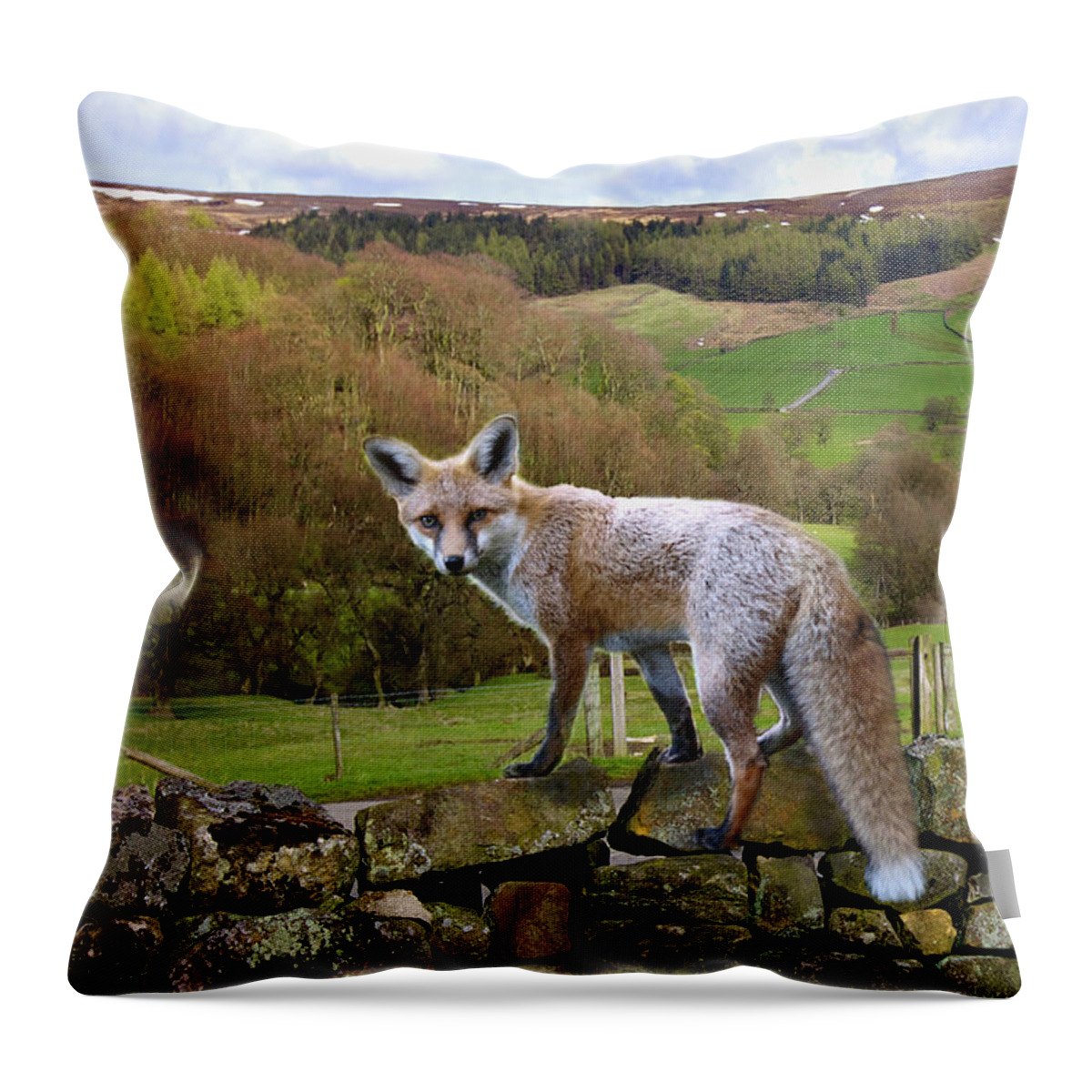 Landscape Throw Pillow featuring the photograph Bransdale Fox by Mark Egerton