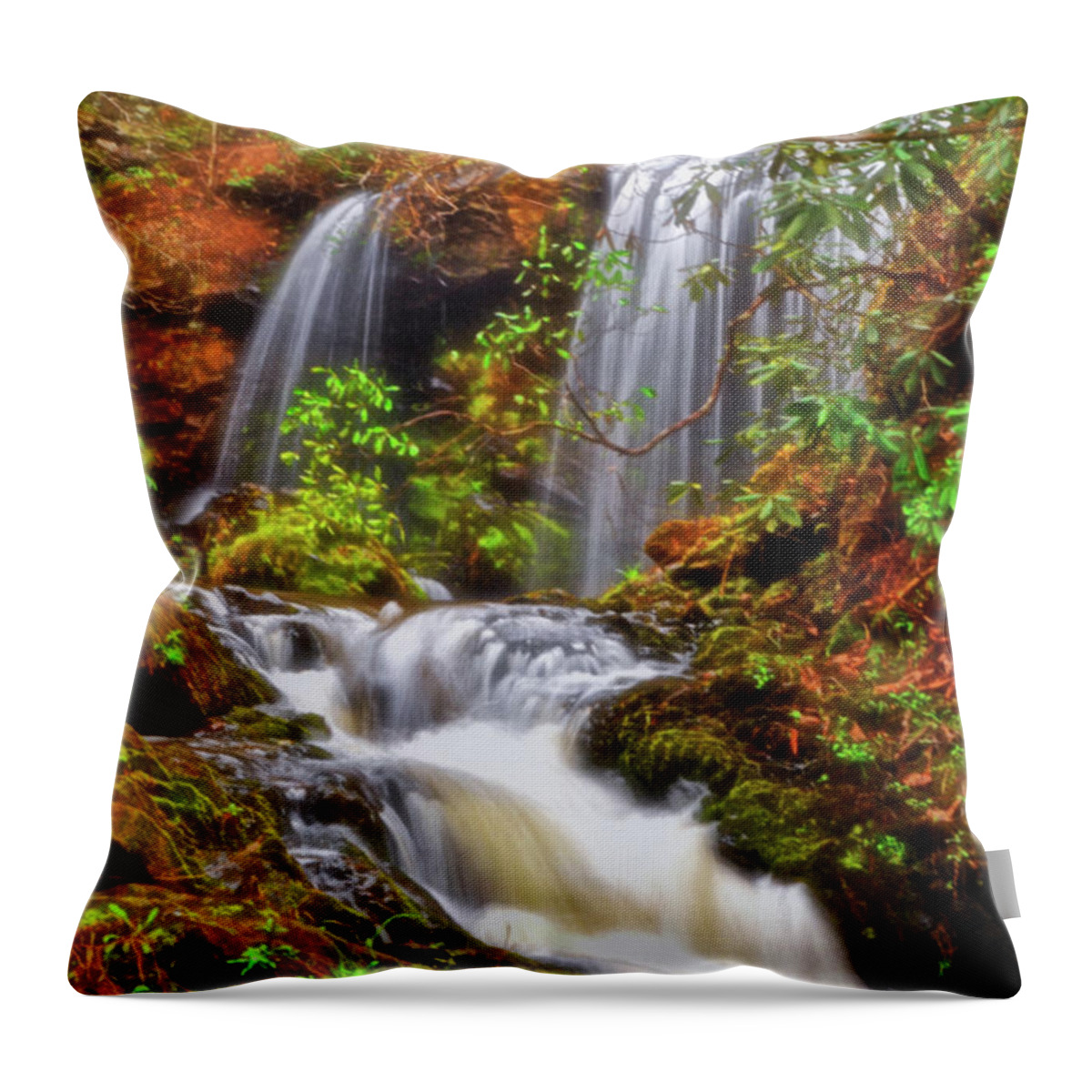 Waterfall Throw Pillow featuring the photograph Brasstown Falls 013 by George Bostian