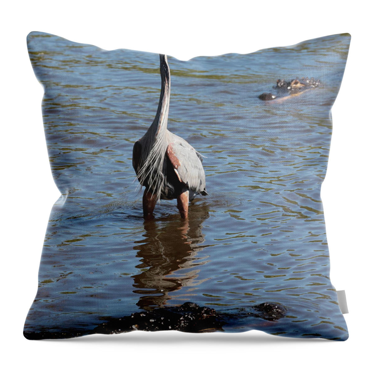 Gator Throw Pillow featuring the photograph Brave Great Blue Heron by Carol Groenen