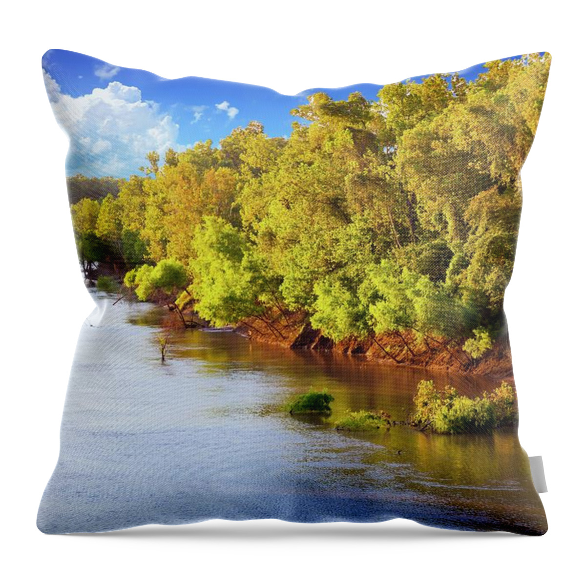 Nature Throw Pillow featuring the photograph Brazos River by Judy Wright Lott