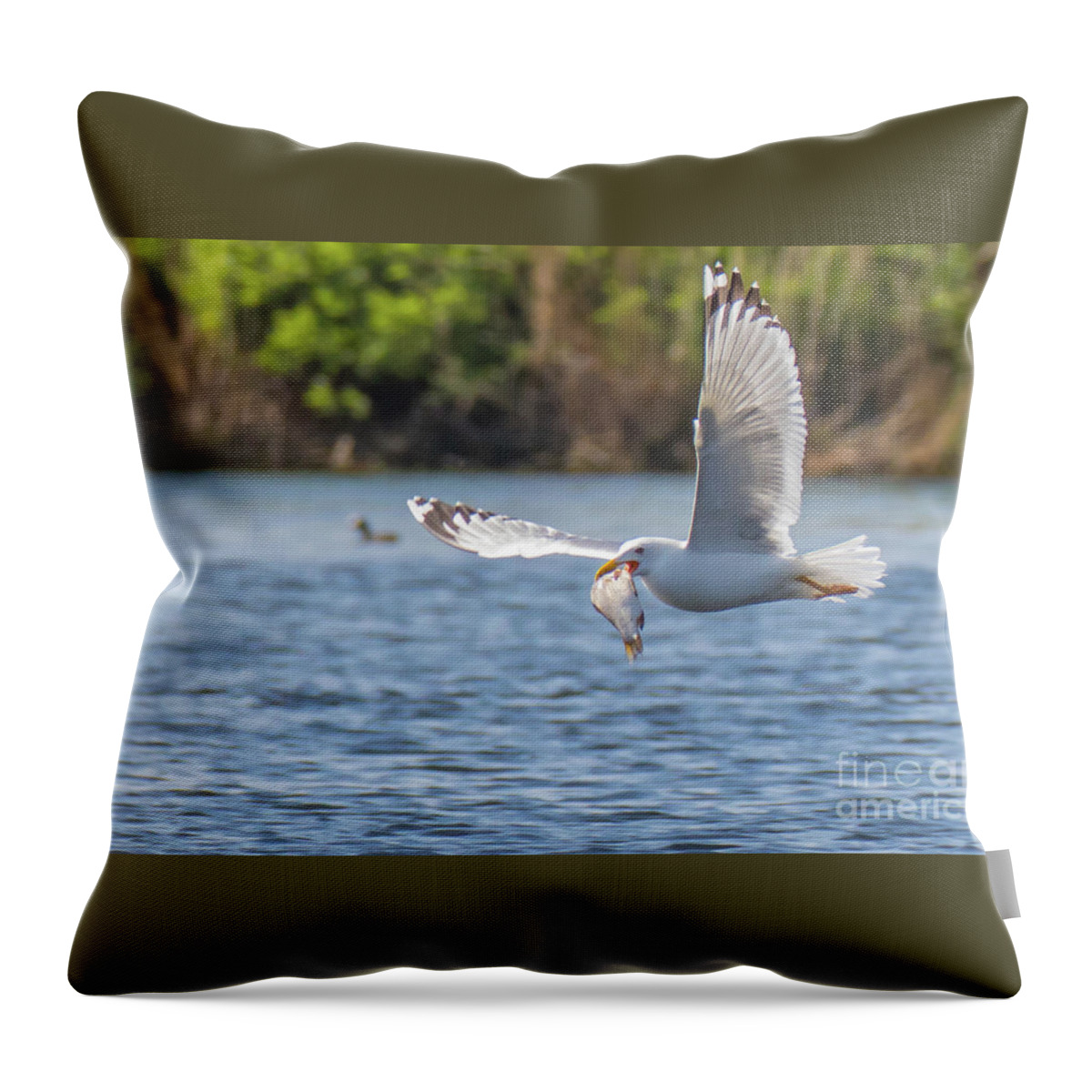 Animal Throw Pillow featuring the photograph Breakfast by Jivko Nakev