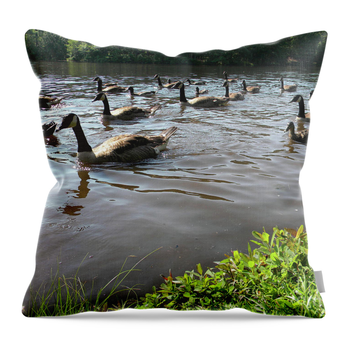 Geease Throw Pillow featuring the photograph Breakfast Time by Matthew Seufer