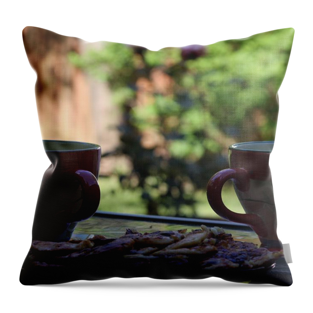 Breakfast Throw Pillow featuring the photograph Breakfast Time by Vadim Levin