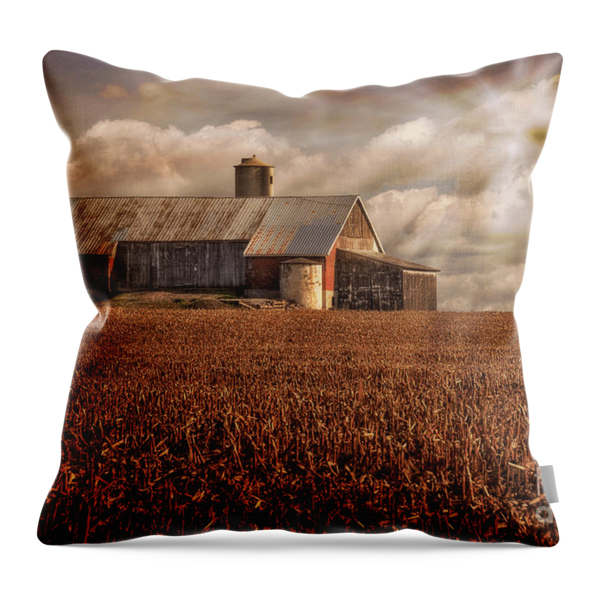 Farm Throw Pillow featuring the photograph Breaking Through by Lois Bryan