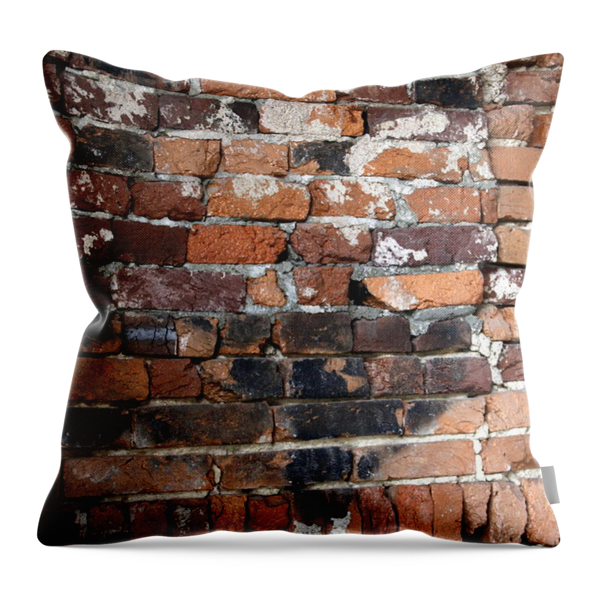 Horizontal Throw Pillow featuring the photograph Brick Wall by Valerie Collins