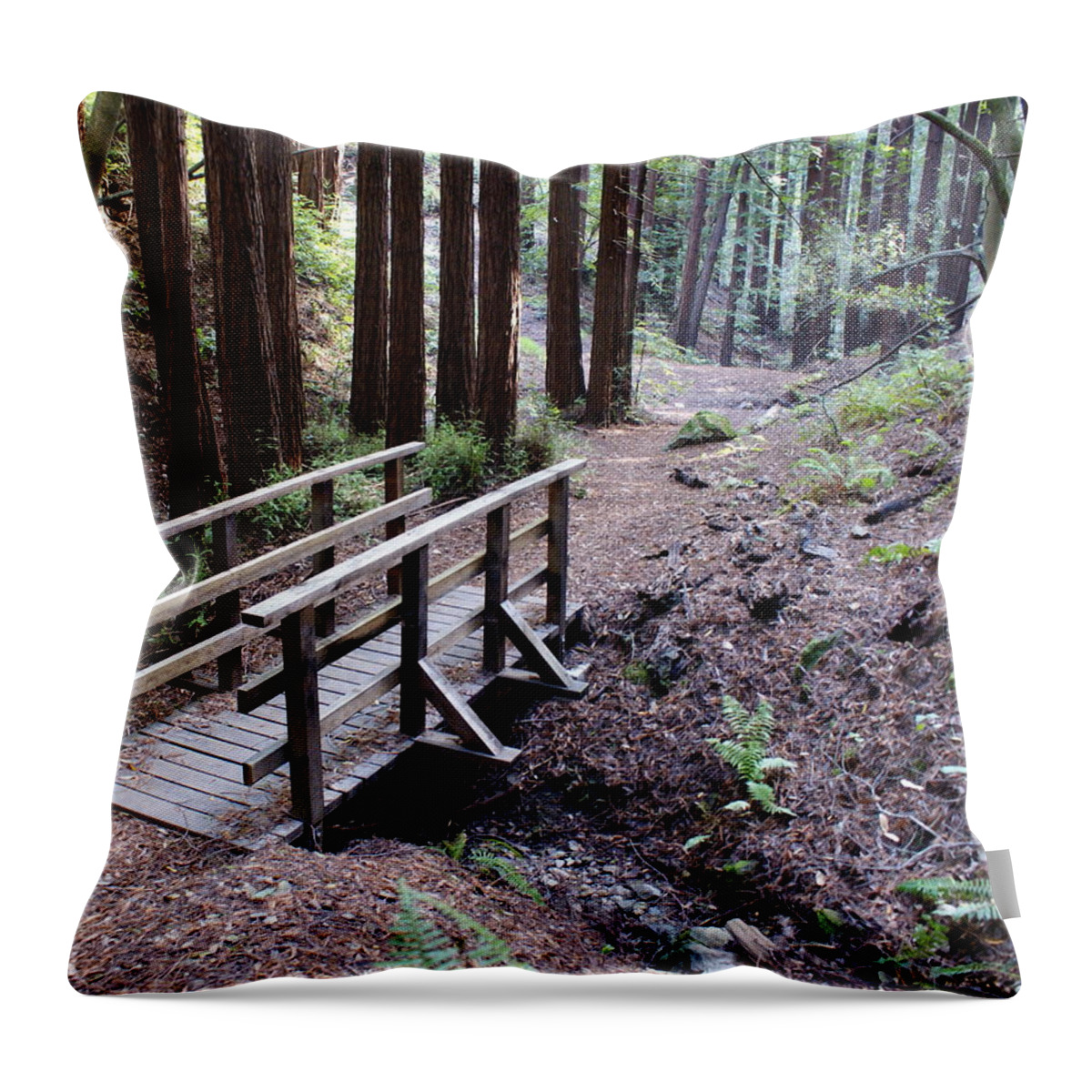 Mount Tamalpais Throw Pillow featuring the photograph Bridge in the Redwoods by Ben Upham III