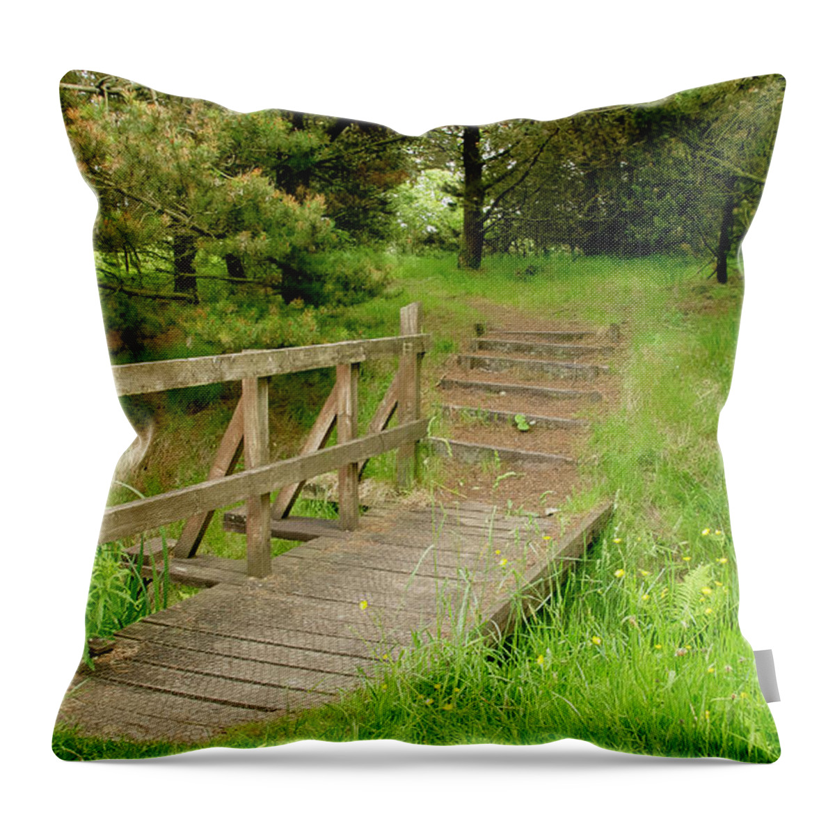 Scotland Throw Pillow featuring the photograph Bridge in the woods by Elena Perelman
