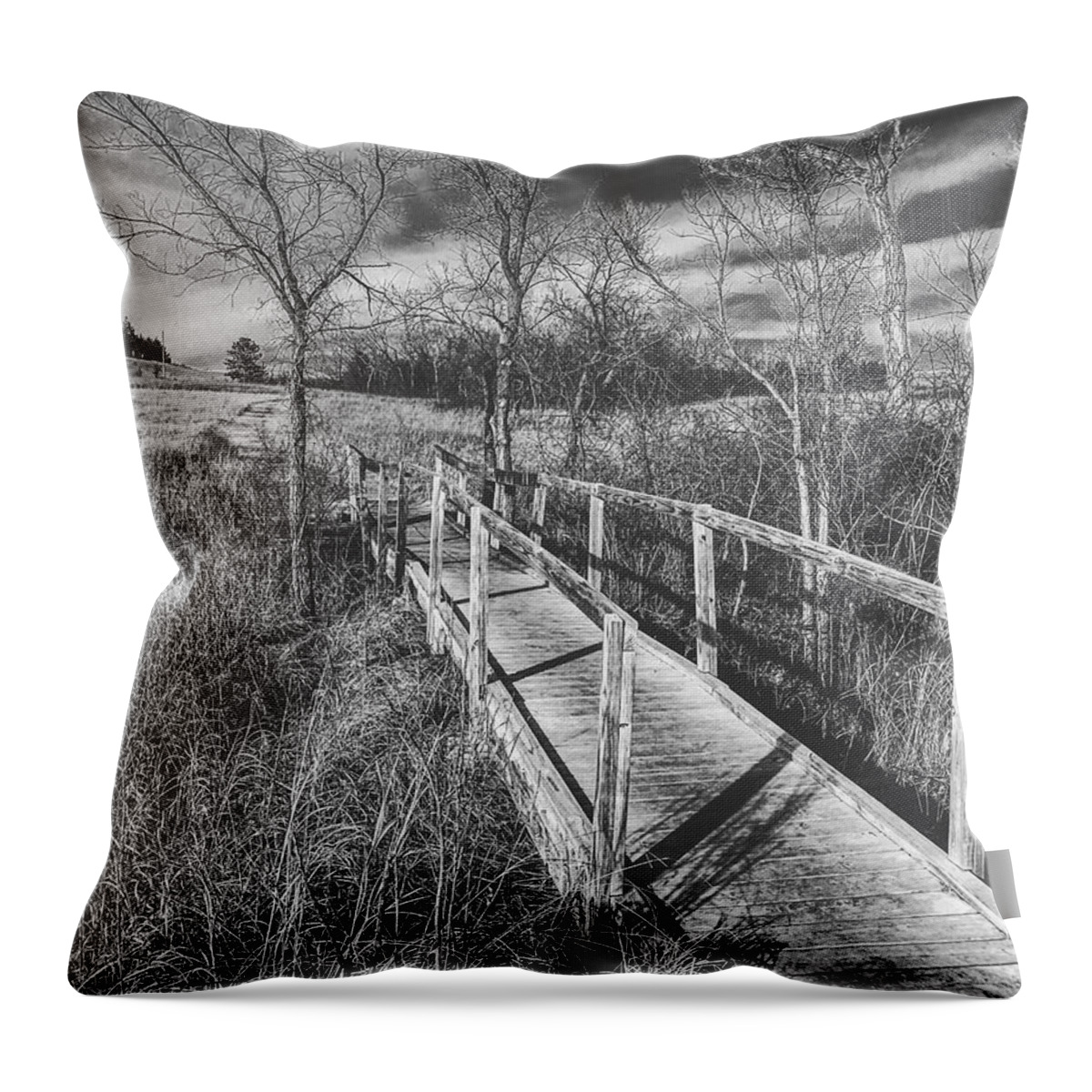 Bridge Throw Pillow featuring the photograph Bridge on the Prairie by Michael Oceanofwisdom Bidwell