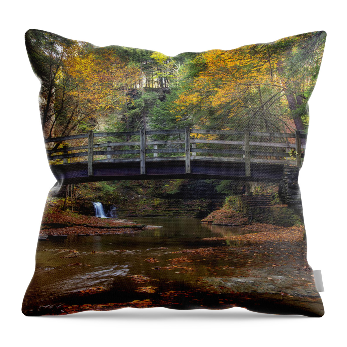 Buttermilk Falls State Park Throw Pillow featuring the photograph Bridge over Buttermilk Creek by Mark Papke