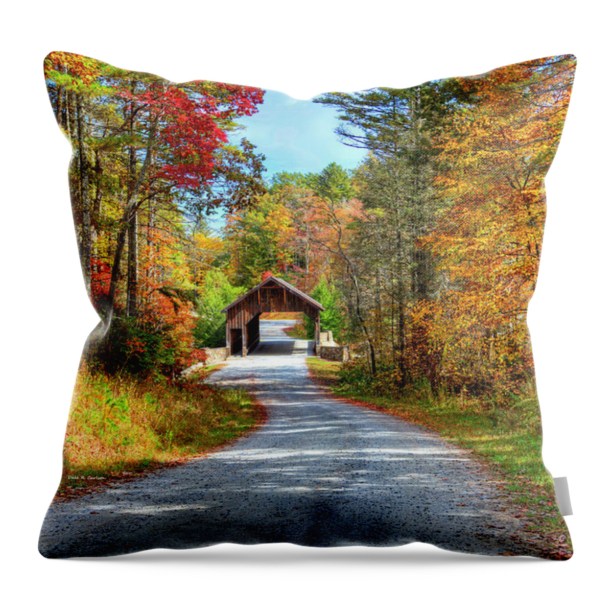Fall Throw Pillow featuring the photograph Bridge to Fall by Dale R Carlson