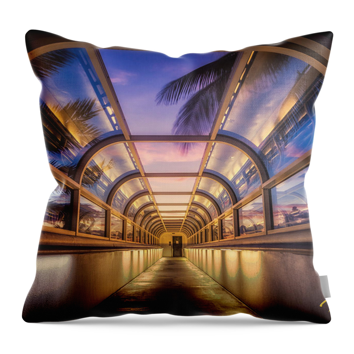 Natural Forms Throw Pillow featuring the photograph Bridge to the Beach by Rikk Flohr