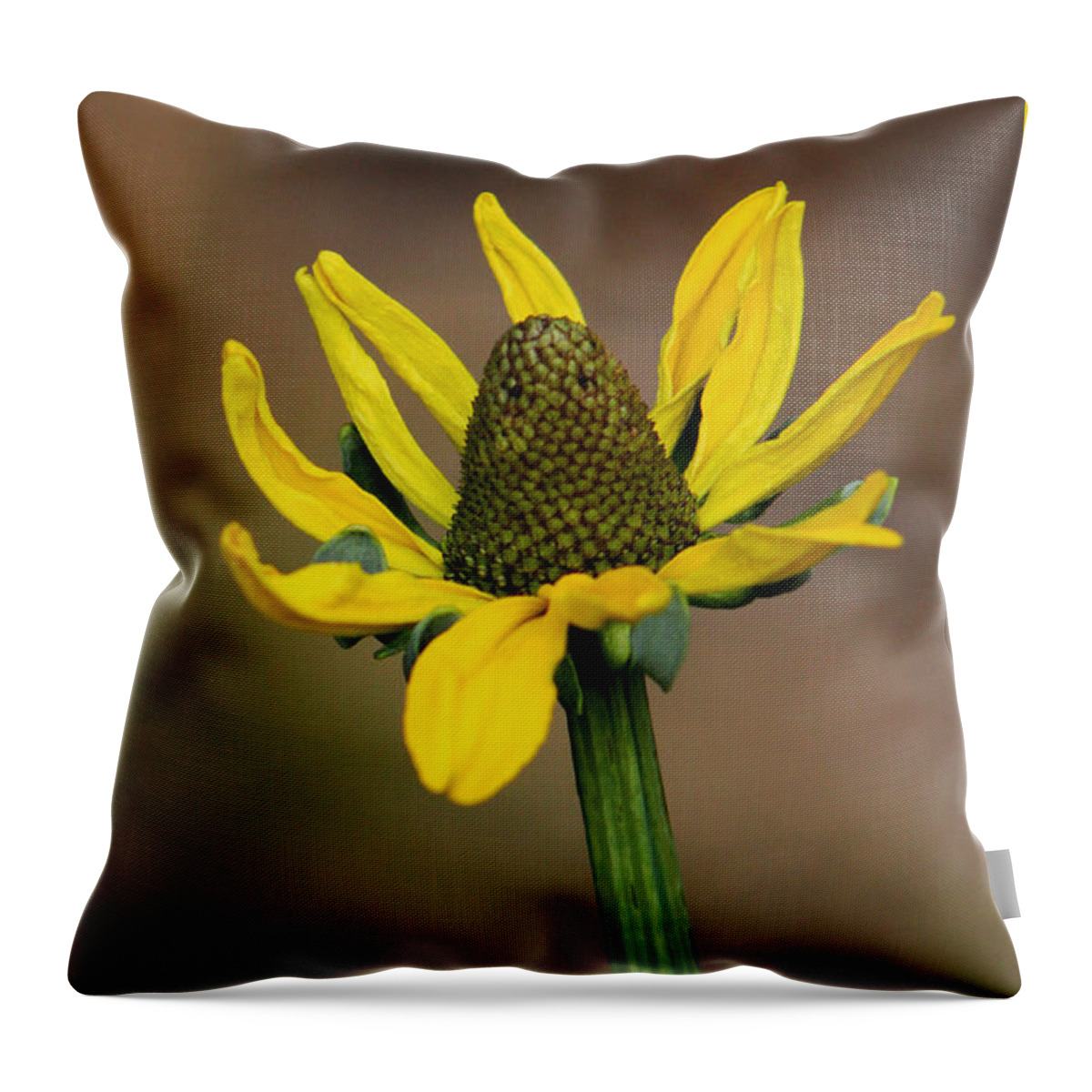 Flower Throw Pillow featuring the photograph Bright and Shining by Deborah Crew-Johnson