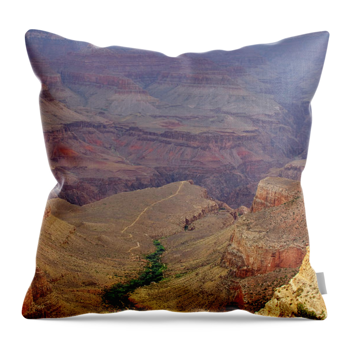 Bright Throw Pillow featuring the photograph Bright Angel Trail by Ricky Barnard