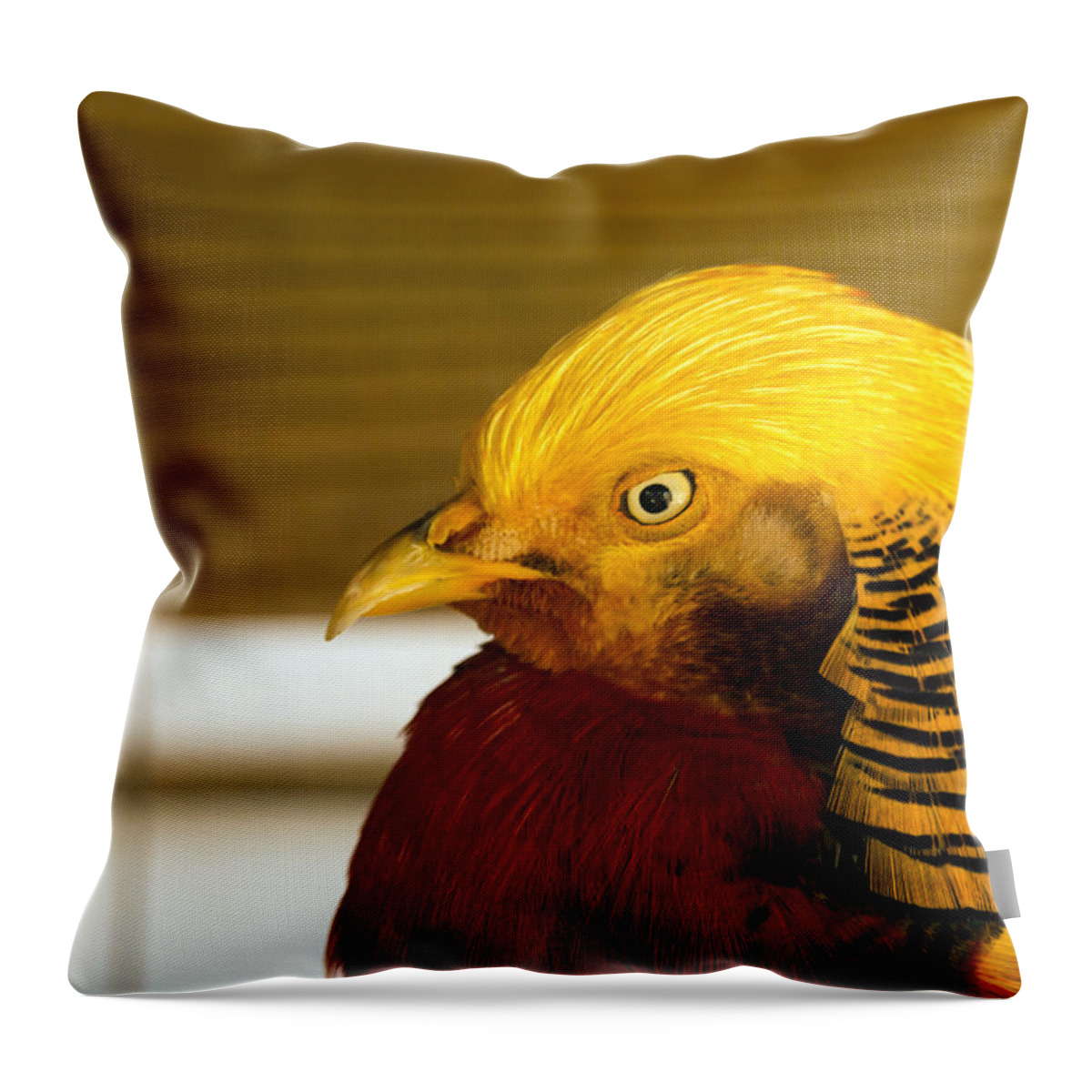 Bird Throw Pillow featuring the photograph Bright Bird by Travis Rogers