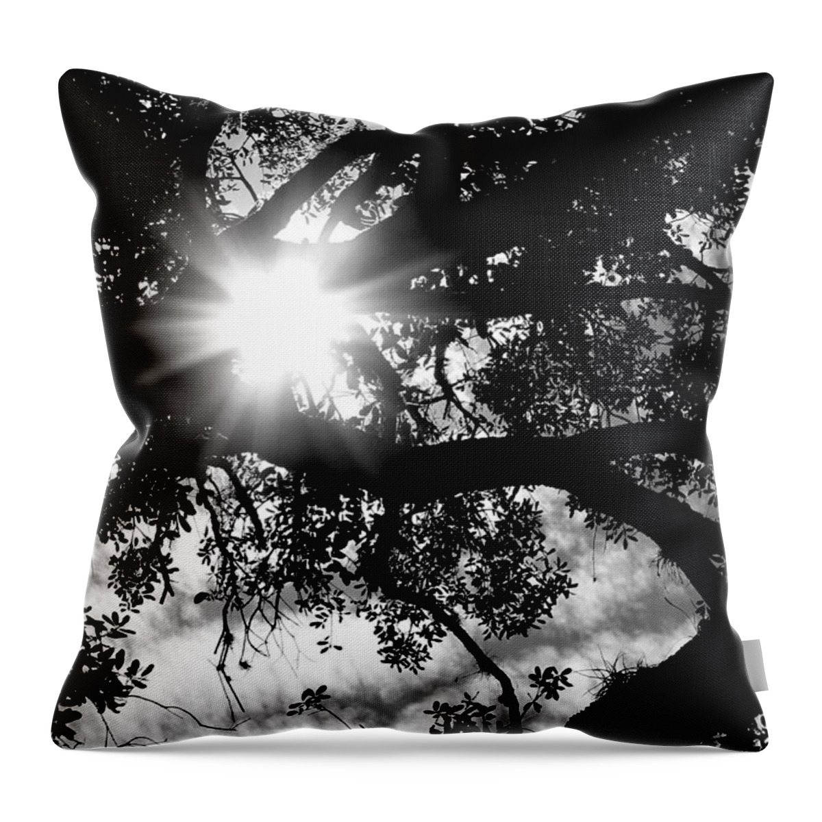 Photo For Sale Throw Pillow featuring the photograph Bright Light by Robert Wilder Jr