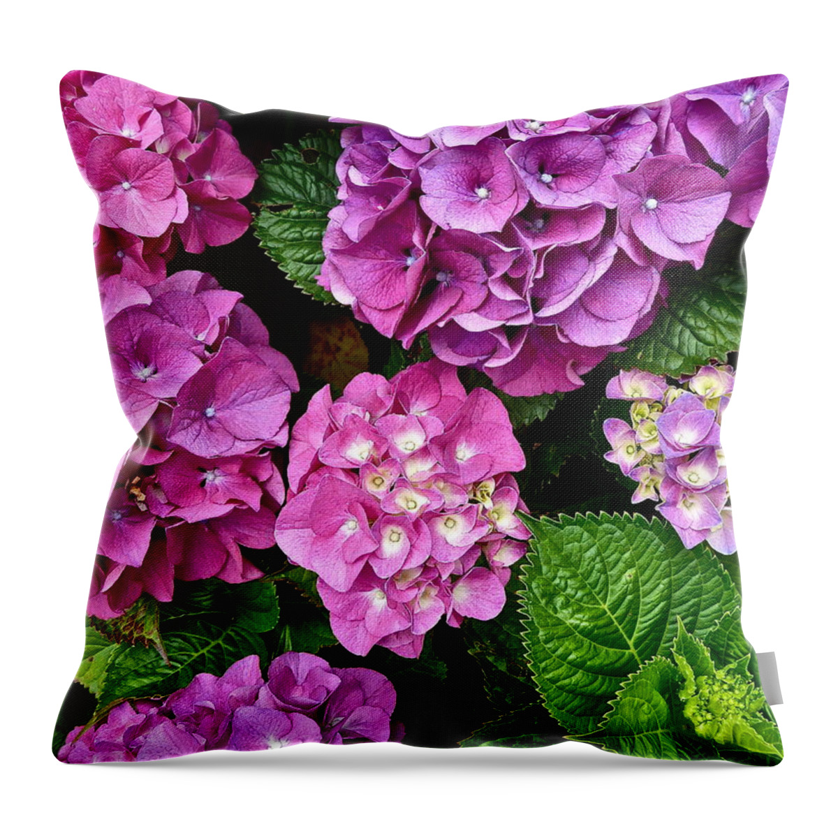 Flowers Throw Pillow featuring the photograph Bright Spot by Diana Hatcher
