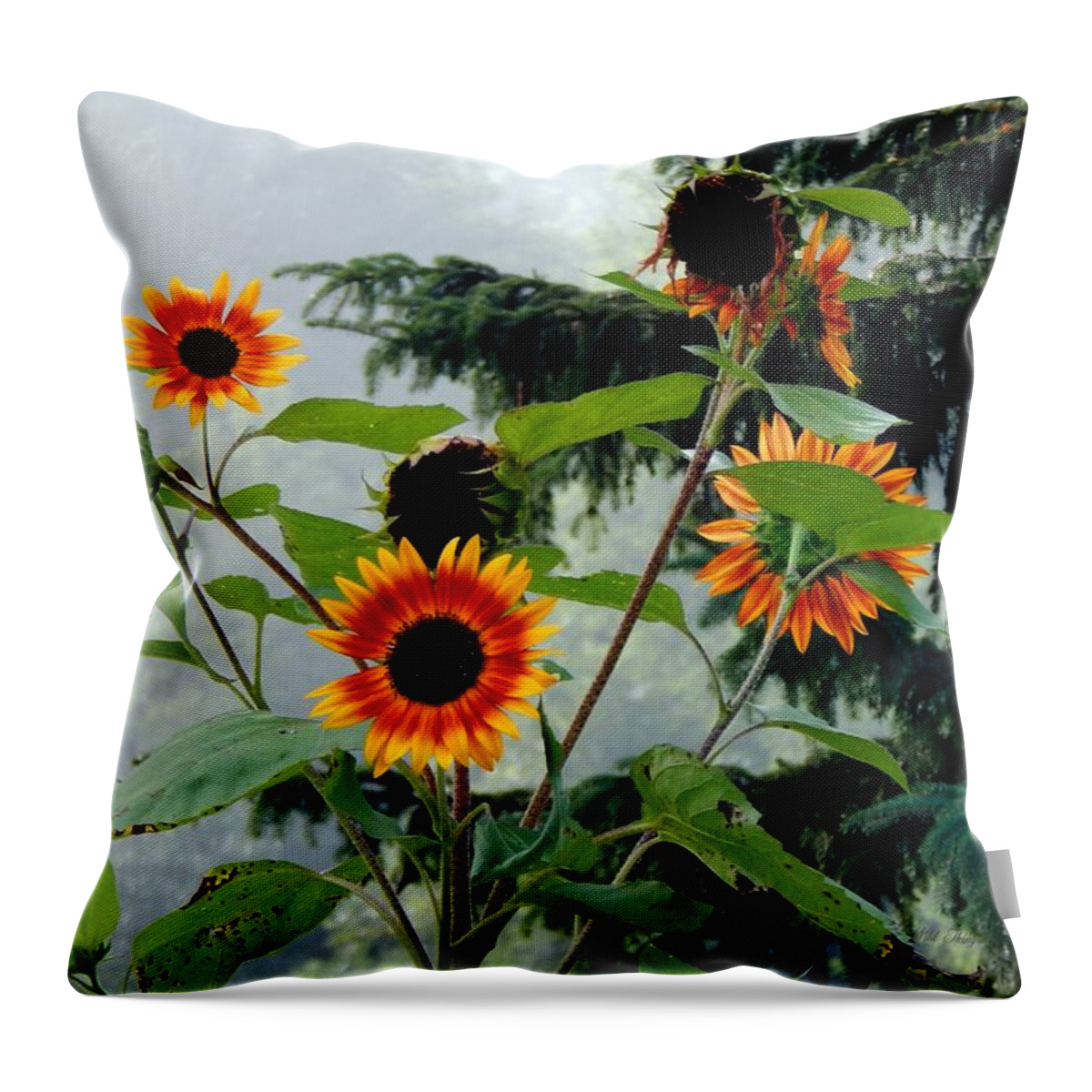 Summertime Throw Pillow featuring the photograph Bright Spots on A Foggy Morning by Wild Thing