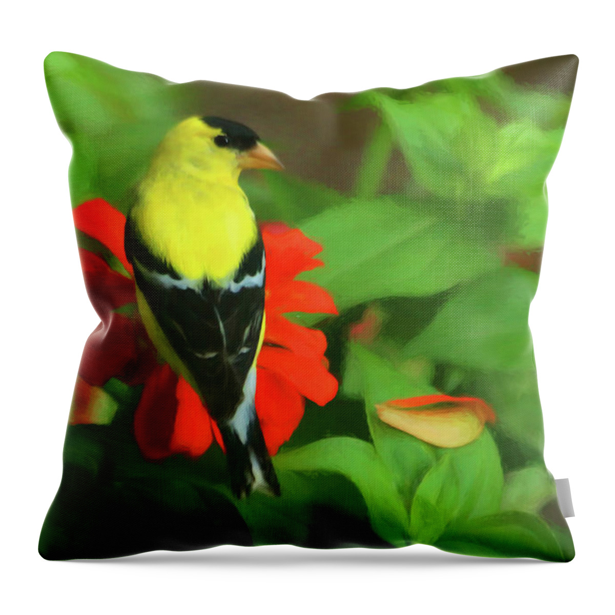 American Goldfinch Throw Pillow featuring the photograph Feathery Droplet of Sunshine by Ola Allen