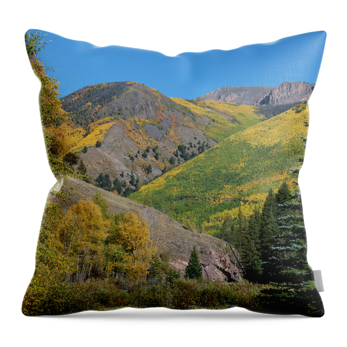 Autumn Throw Pillow featuring the photograph Brilliant Autumn Color in the San Juans by Cascade Colors