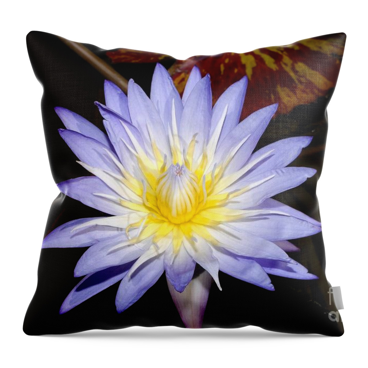 Lily Throw Pillow featuring the photograph Brilliant Beauty by David Lee Thompson