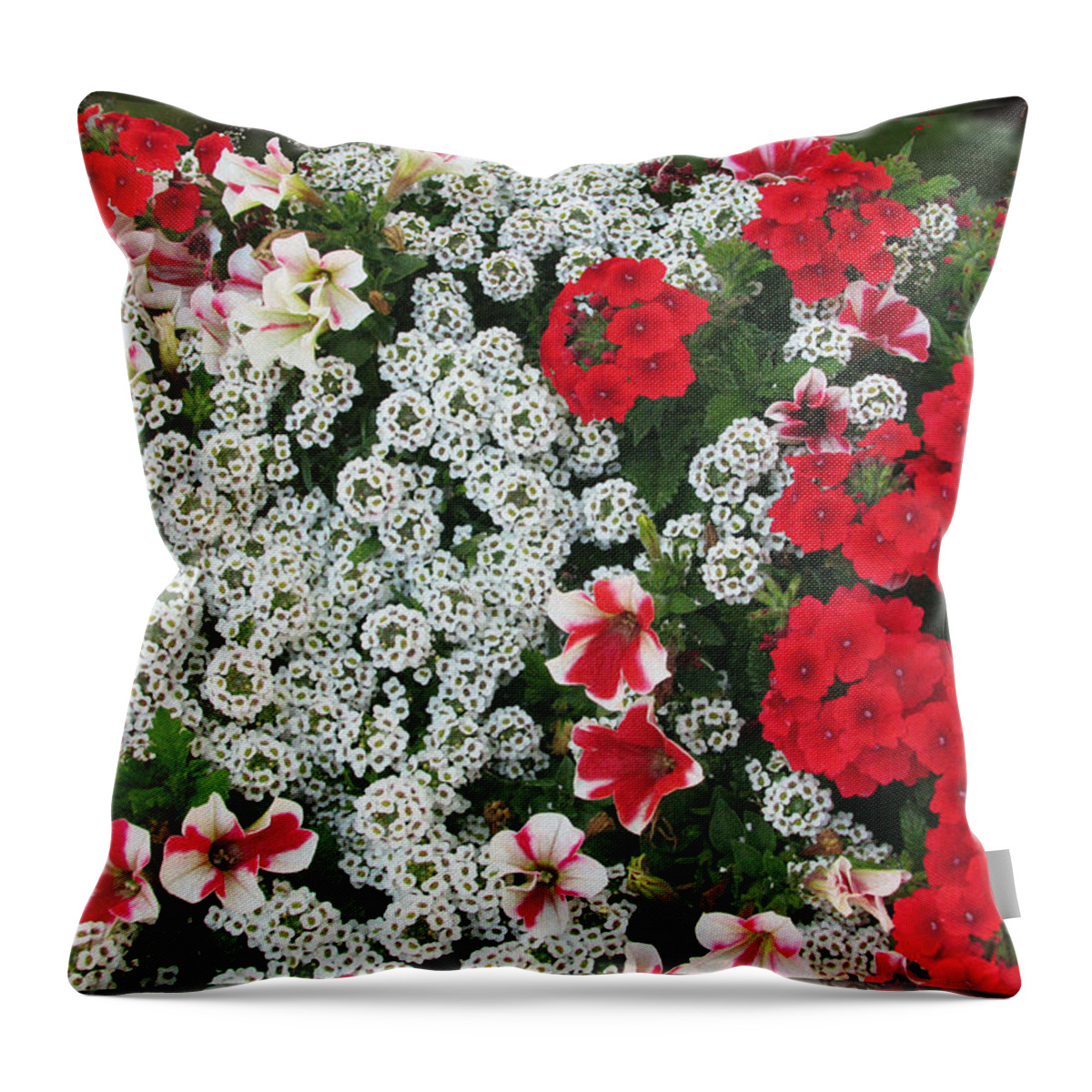 Red Throw Pillow featuring the photograph Brilliant Blossoms by Feather Redfox