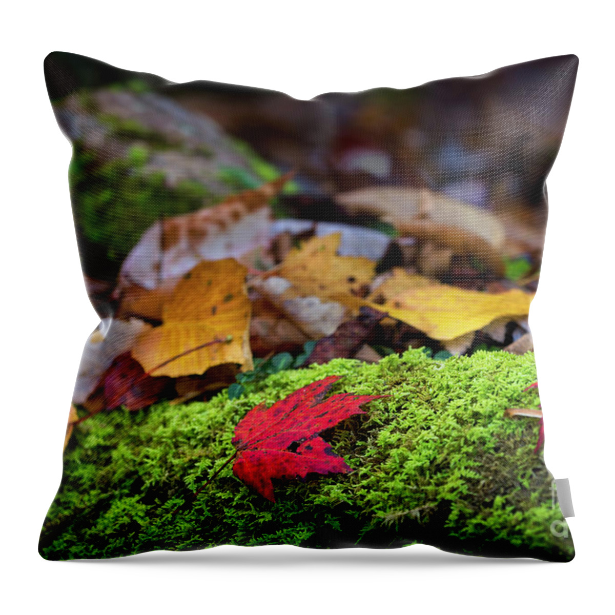 Brilliant Fall Foliage Throw Pillow featuring the photograph Brilliant Fall Foliage by Doug Sturgess
