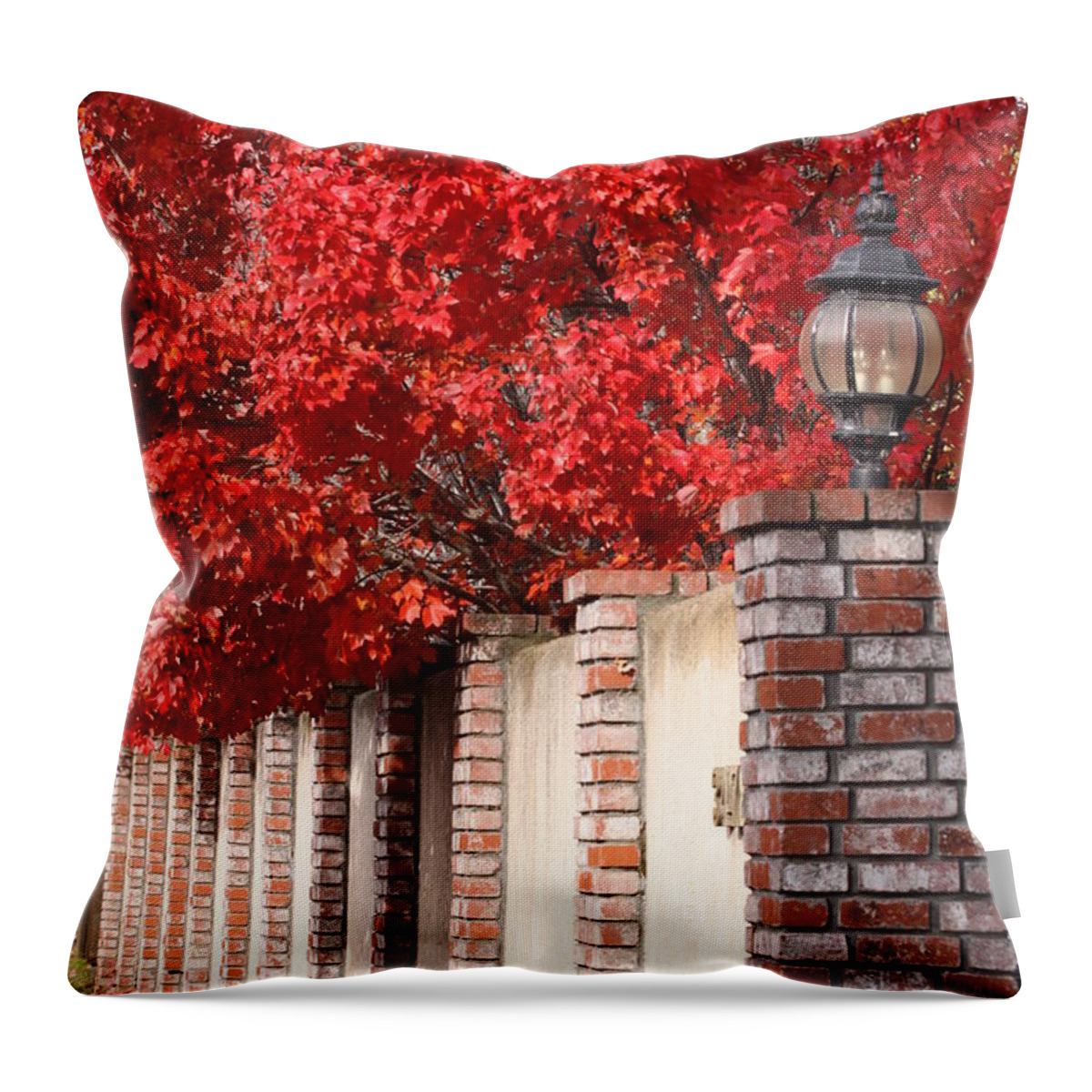 Fall Throw Pillow featuring the photograph Brilliant Fall by Jeff Floyd CA