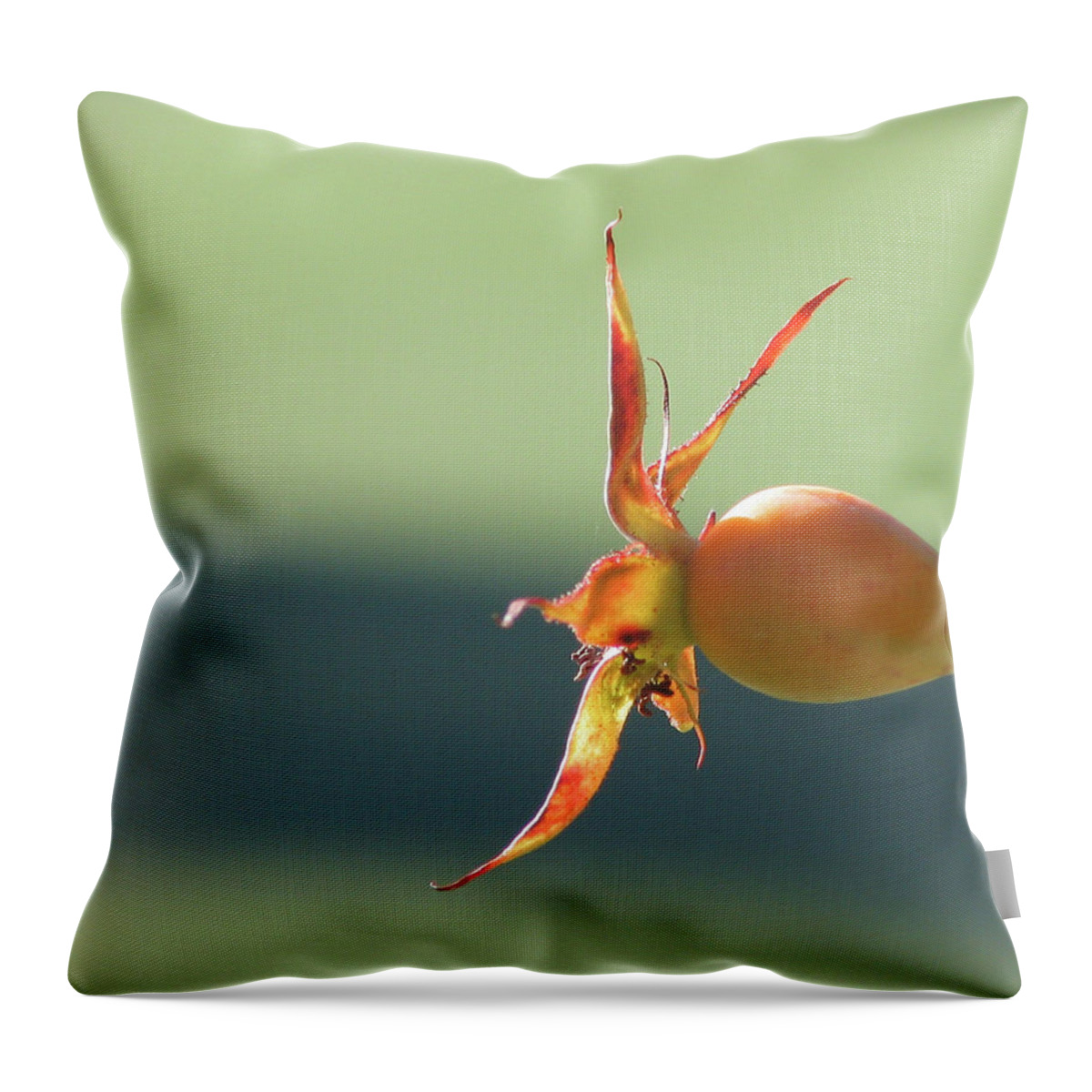 Flower Throw Pillow featuring the photograph Brilliant Seed Pod by David Bader