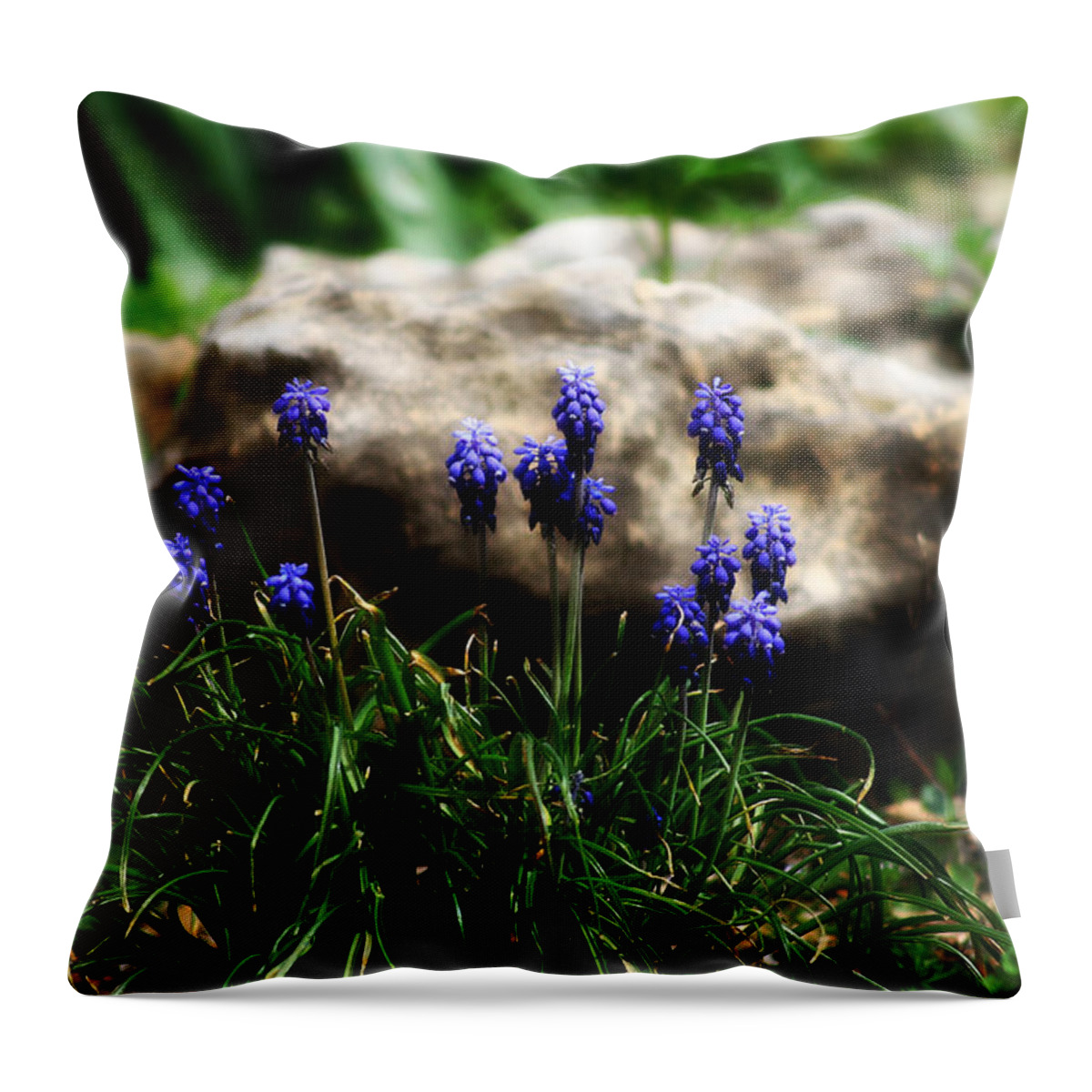 Flowers Throw Pillow featuring the photograph Bring on the purple by Toni Hopper