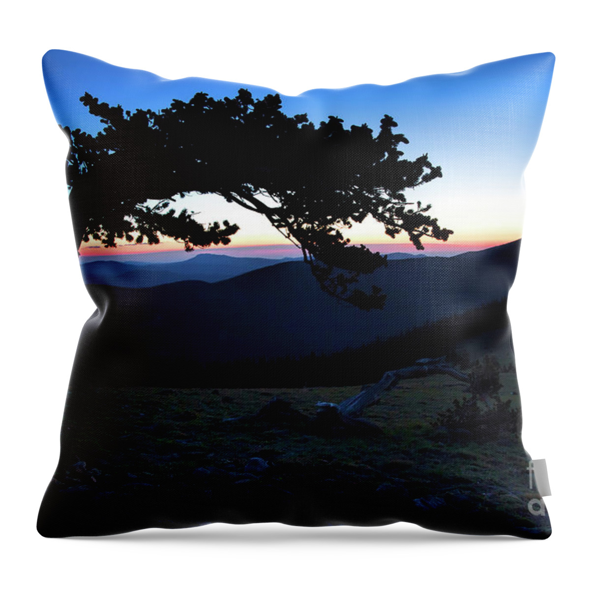 Bristlecone Landscape Throw Pillow featuring the photograph Unbroken by Jim Garrison