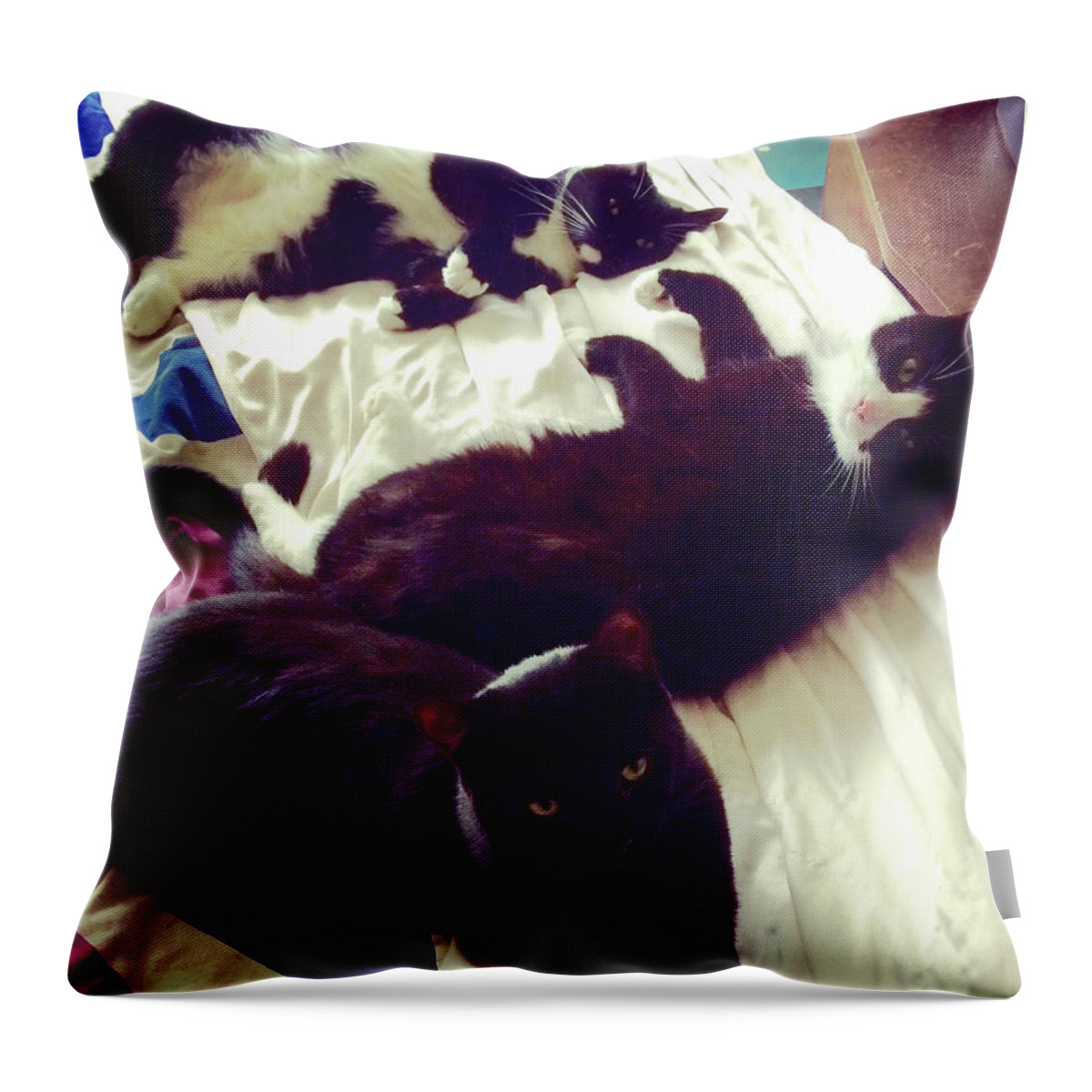 Uk Throw Pillow featuring the photograph British Cats by Heather Lennox