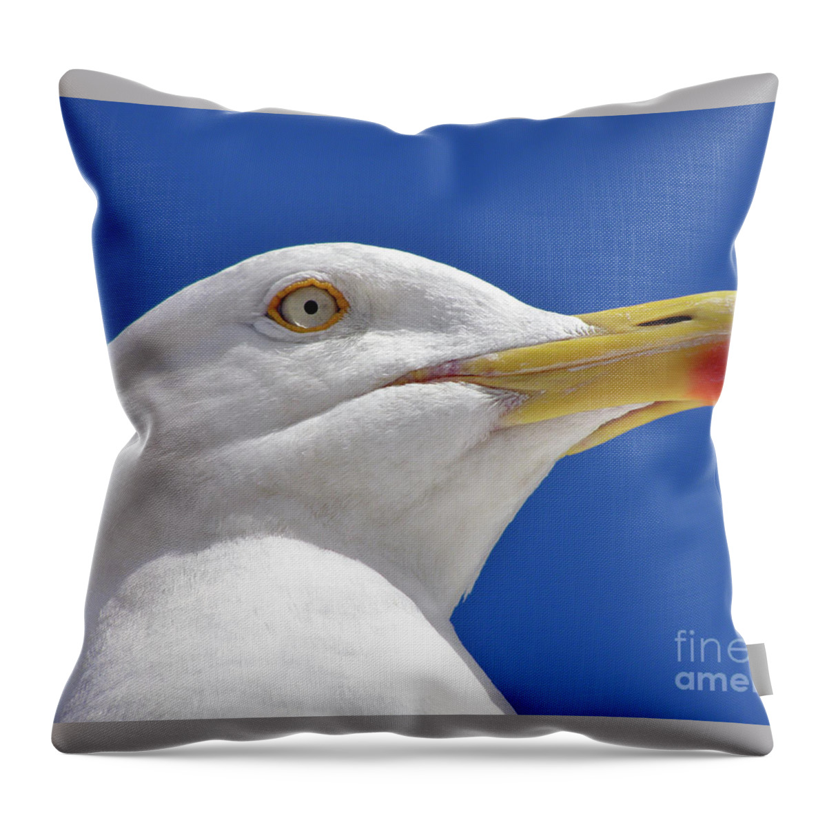 Bird Throw Pillow featuring the photograph British Herring Gull by Terri Waters