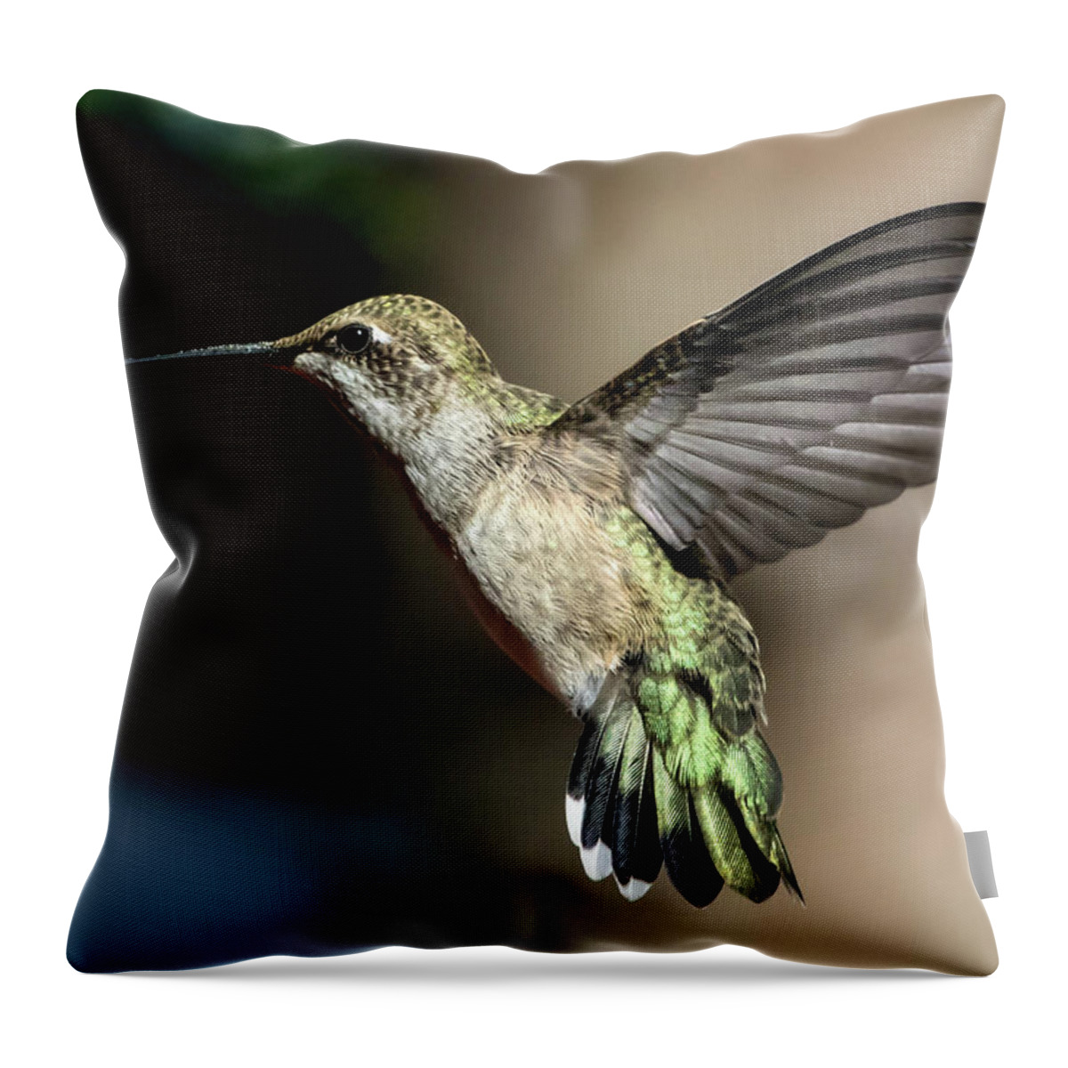 Broad-tailed Hummingbird Throw Pillow featuring the photograph Broad-tailed Hummingbird Female by Dawn Key