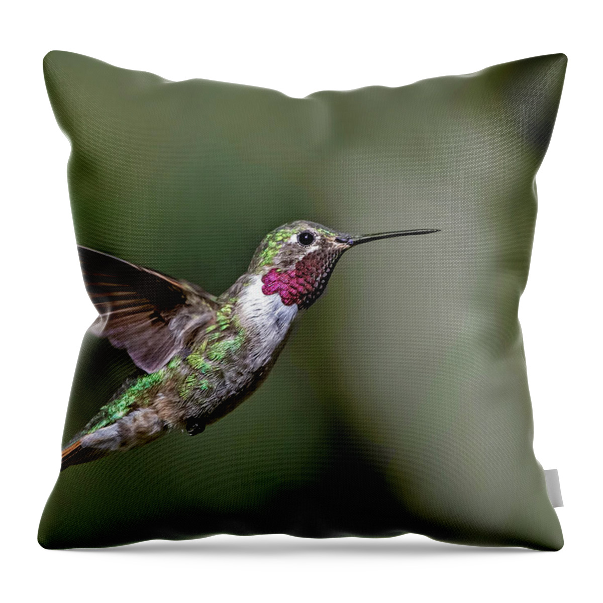 Broad-tailed Hummingbird Throw Pillow featuring the photograph Broad-tailed Hummingbird Male by Dawn Key