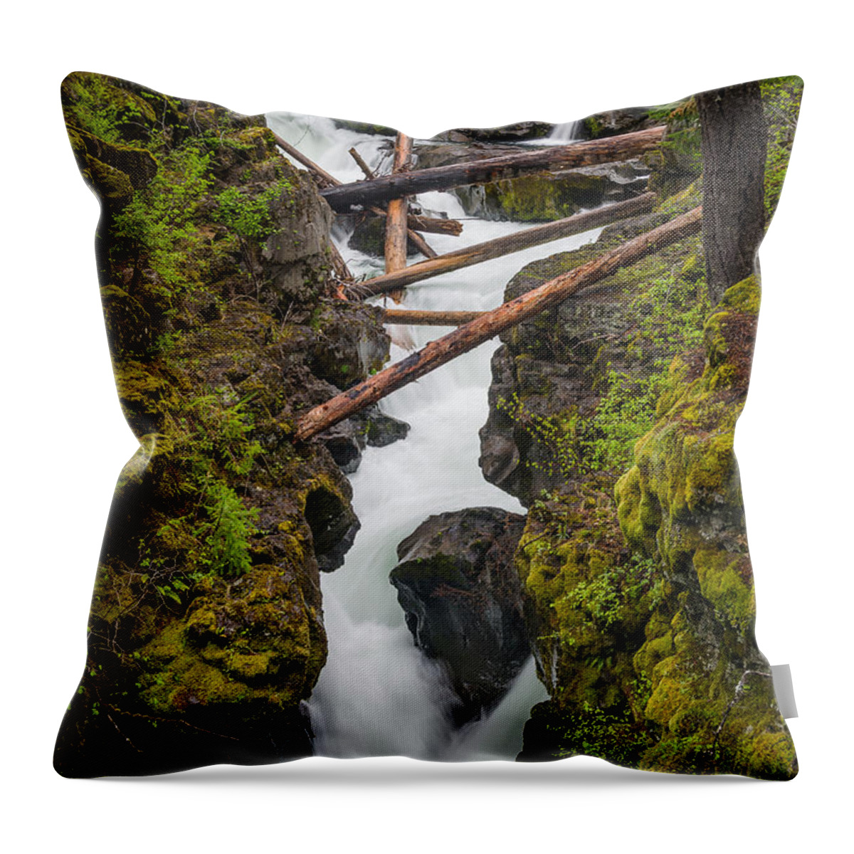 Rogue Gorge Throw Pillow featuring the photograph Broiling Rogue Gorge by Greg Nyquist