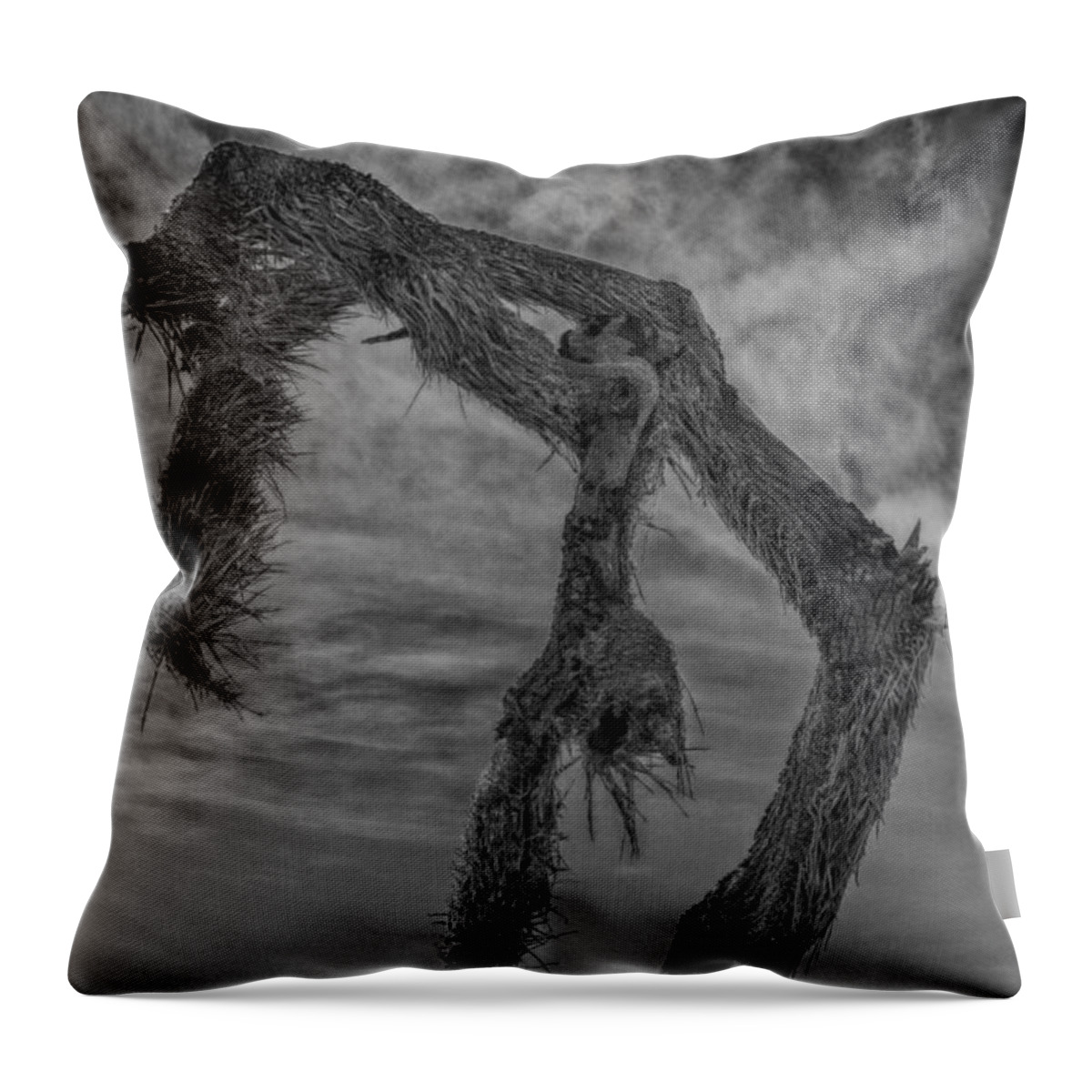 Joshua Tree Throw Pillow featuring the photograph Broken Back by Sandra Selle Rodriguez